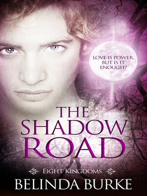 cover image of The Shadow Road